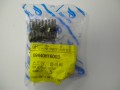 Hyosung GT250, GT250R and GV250 Clutch Springs